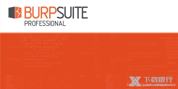 Burpsuite Pro软件截图1