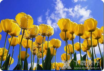 友锋图像处理系统调取选区教程图片17