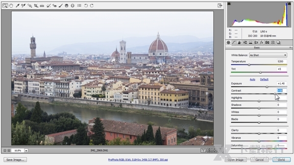 AdobeCameraRaw图片2