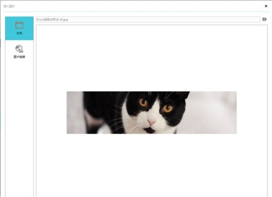 mockplus破解专业版图片