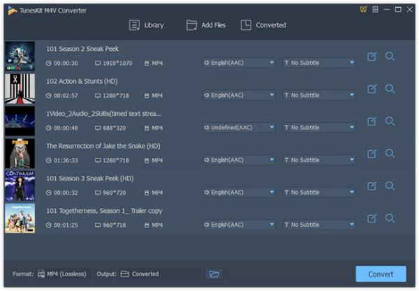 ViwizardM4VConverter破解版图片4
