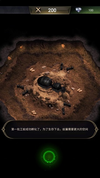 蚂蚁地下王国图片2