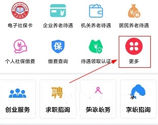 怎么查询养老金发放1