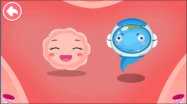 宝宝从哪来新手教程