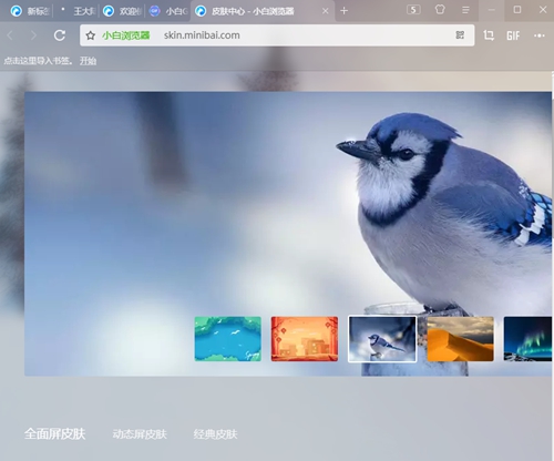 小白浏览器截图6