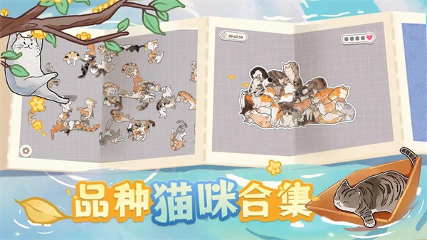 挤在一起的猫猫图片