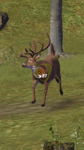 狩猎狙击手截图２