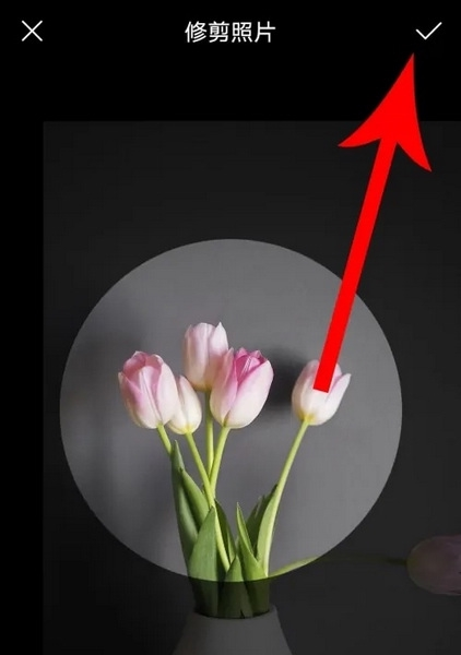 爱奇艺泡泡app怎么换头像