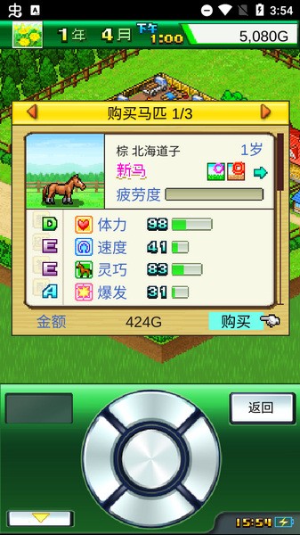 赛马牧场物语图片