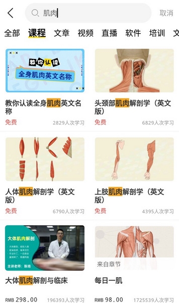 3Dbody怎么查肌肉4