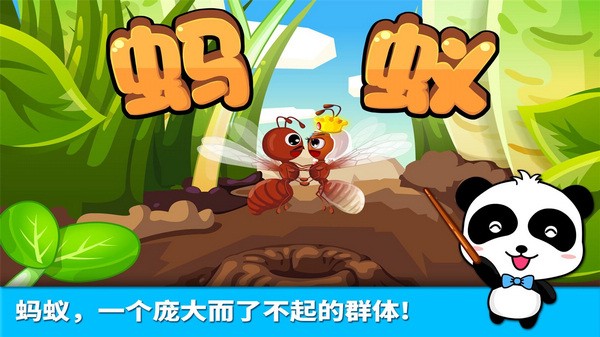 宝宝认蚂蚁图片