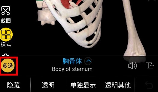 3Dbody怎么多选4