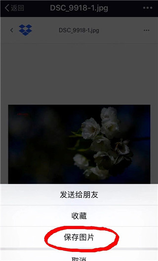 Dropbox软件截图6