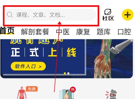 3Dbody怎么查肌肉1