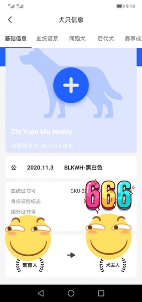 宠爱王国查询犬舍教程图片3