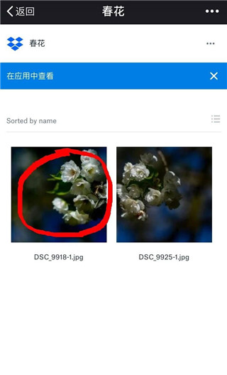 Dropbox软件截图4