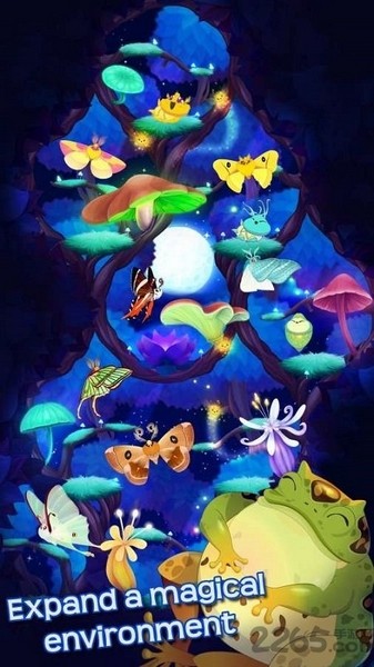 蝴蝶之星夜图片