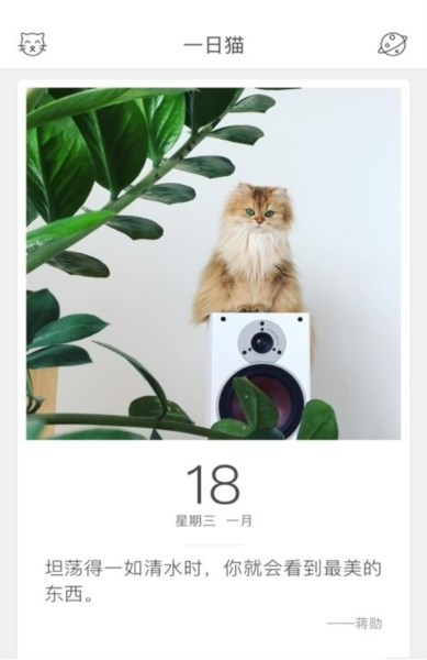 一日猫app图片