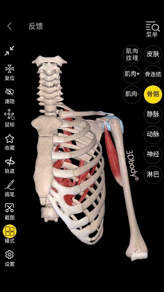 3Dbody怎么多选1