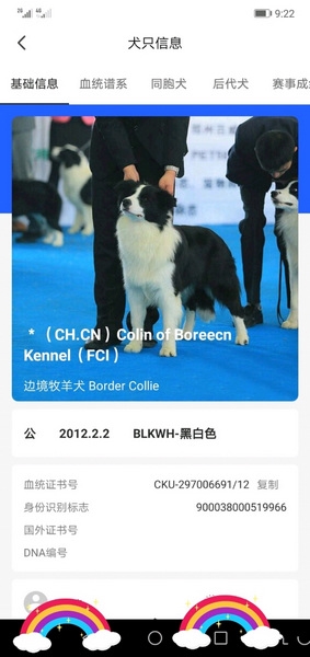 宠爱王国查询犬舍教程图片5