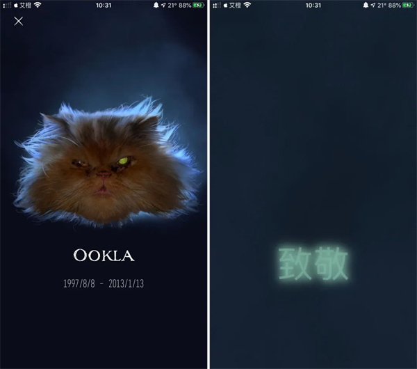 Ookla Speedtest使用指南图片8