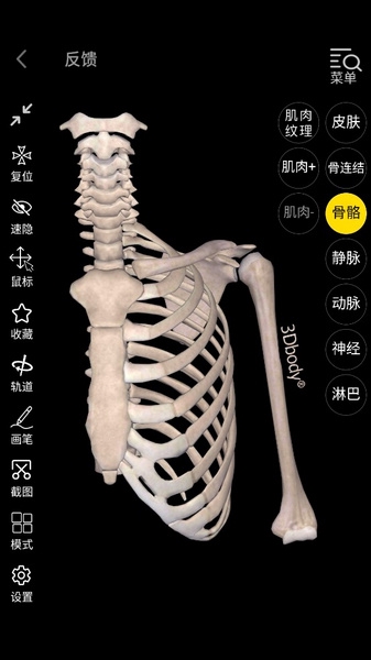 3Dbody如何下载图片1