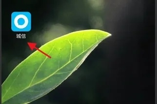 城信app如何实名认证个人信息图片1