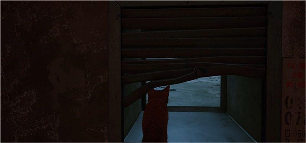 迷失Stray第2章死城攻略图片5