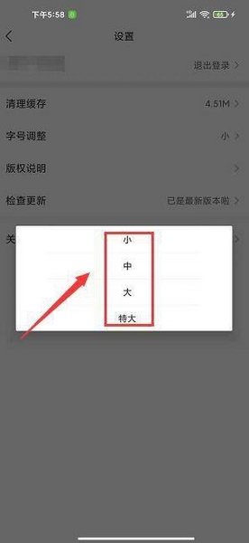 字号大小调整教程4