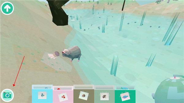 托卡大自然游戏攻略图片8