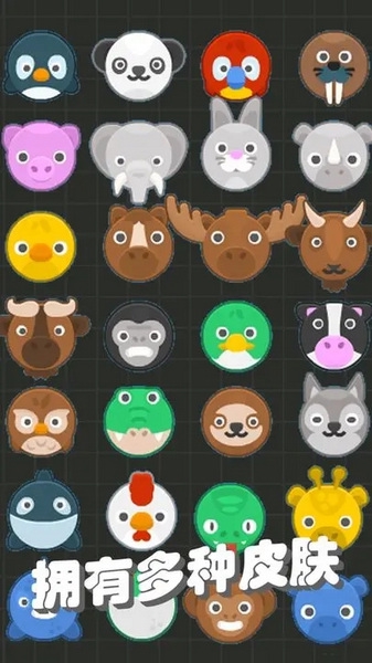 我不是飞剑图片