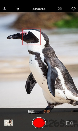 Apai Genie360智能跟拍云台图片