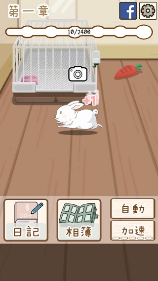 家有兔酱游戏攻略图片3