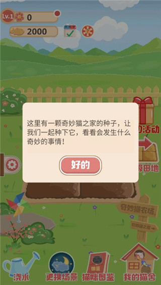 奇妙猫之家游戏玩法图片1