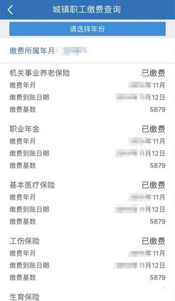 怎么查询社保缴费记录3