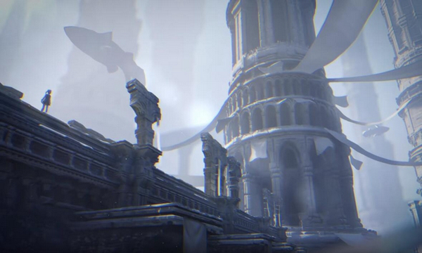 尼尔康乃馨图片