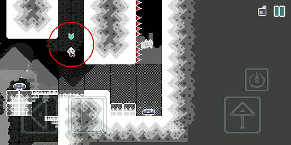 无名的猫罐头怎么收集图片7