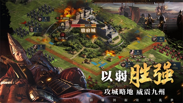 霸王之业战国野望图片