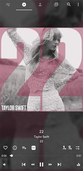 musicolet功能介绍图片1