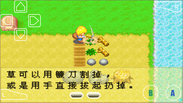 牧场物语女孩版农作物种植教程图片2