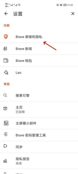 Brave图片10