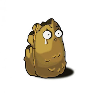 植物大战僵尸青松版图片5