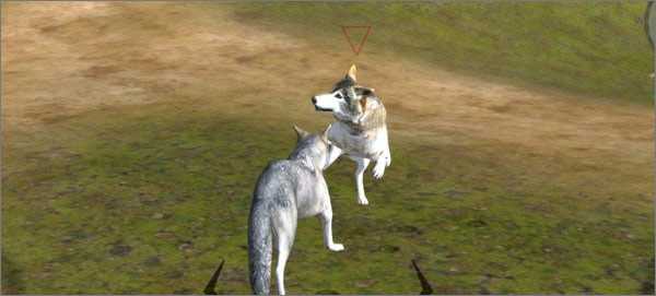 野狼模拟器2怎么找伴侣2