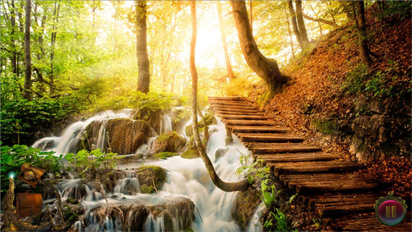 鬼谷之谜2图片6