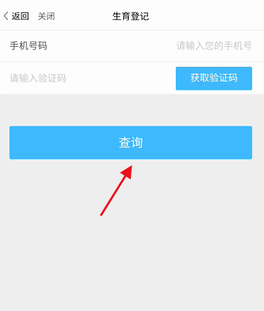 生育登记信息查询教程3