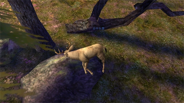 猎鹿人游戏图片2