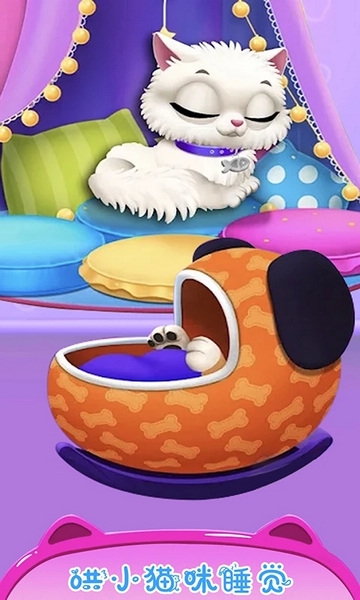 公主宠物小猫咪截图