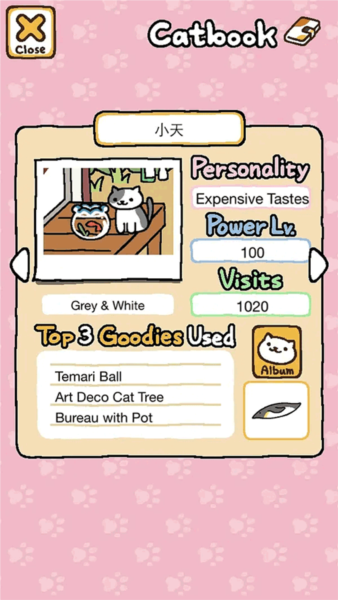 猫咪后院游戏秘籍7