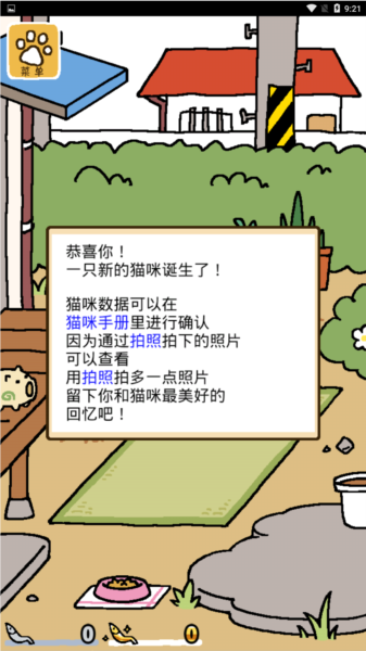 猫咪后院游戏玩法8