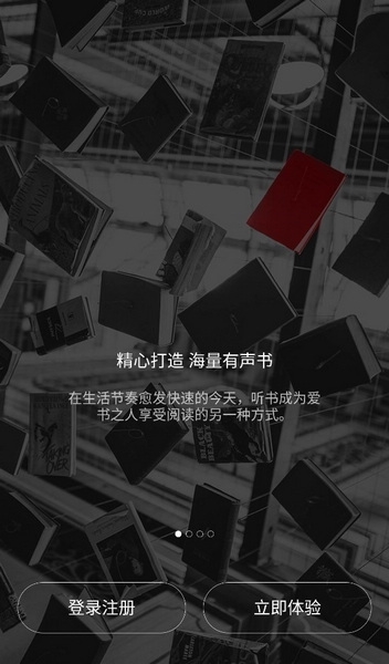 爱音斯坦FMapp截图2